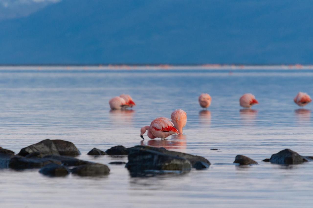 Hotel Las Dunas El Calafate Zewnętrze zdjęcie